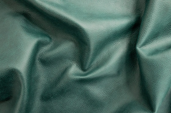 Touché 02030 | Natural leather | Futura Leathers