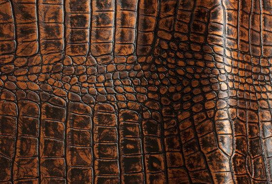 Shinda 1556 | Natural leather | Futura Leathers