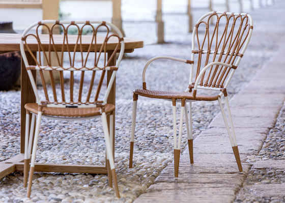 Fiorella Dining Armchair | Chairs | cbdesign