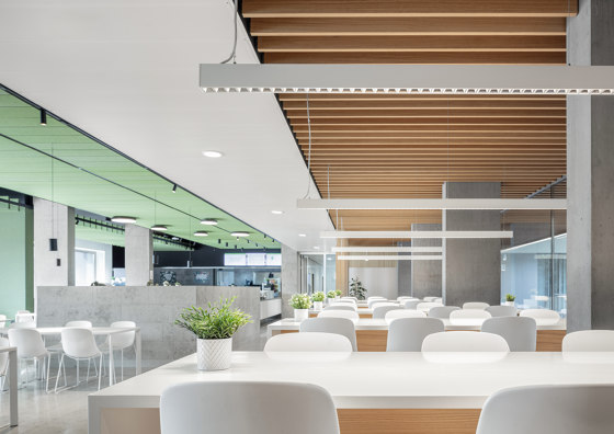 BETO suspended | Suspended lights | XAL