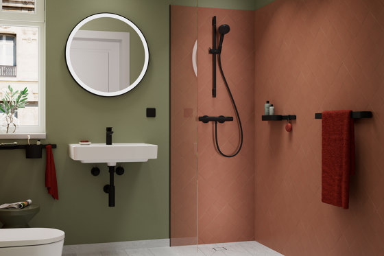 hansgrohe WallStoris Portacepillos | Portacepillos / Portavasos | Hansgrohe