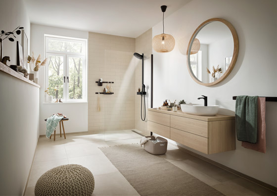 Pulsify E Stabhandbrause 100 1jet EcoSmart | Duscharmaturen | Hansgrohe