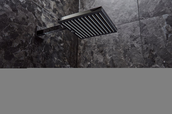 Pulsify E Doccetta Baton 1jet EcoSmart | Rubinetteria doccia | Hansgrohe