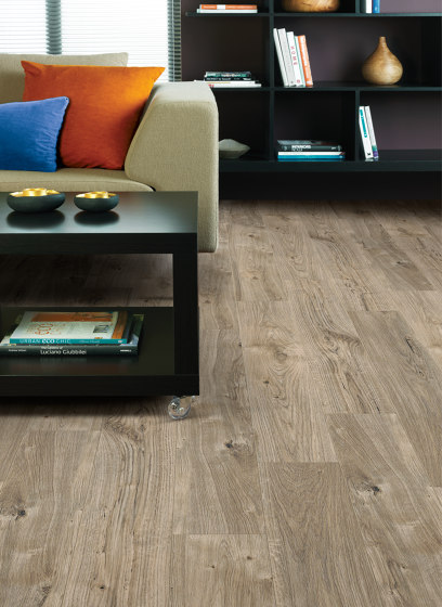 First Woods - 0,3 mm I Frosted Oak | Piastrelle plastica | Amtico