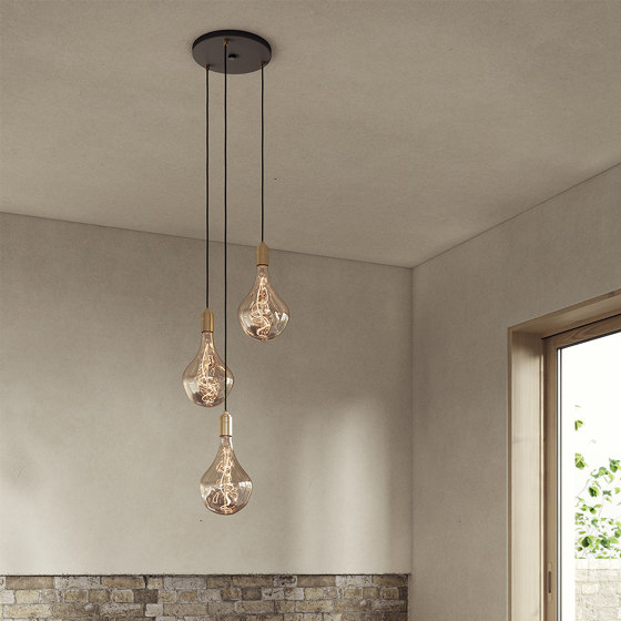 Brass Triple Pendant with Black Canopy with Voronoi II | Suspensions | Tala