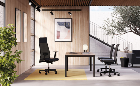 Deva | Office chairs | FREZZA