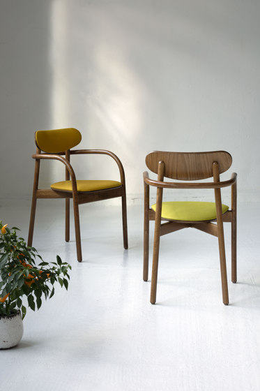 B-2960 | Chairs | Paged Meble