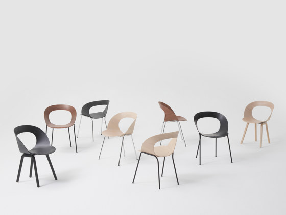 mudra 8814 | Chairs | Brunner