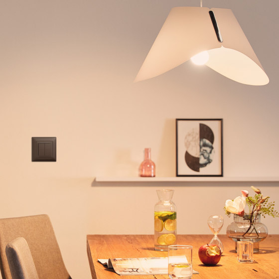 Funktaster | EDIZIO.liv Funktaster Smart Light Control for Philips Hue | Raumsteuerung | Feller