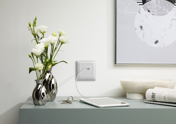 Switches, push buttons and sockets | USB socket Typ 13, A&C black | Swiss sockets | Feller
