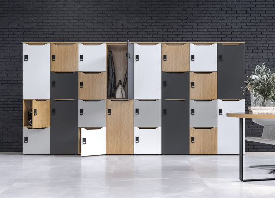 Choice Cabinets | Schränke | Narbutas