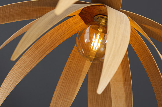Flos | Ceiling Light - Small | Lámparas de suspensión | ALAN HORGAN STUDIO