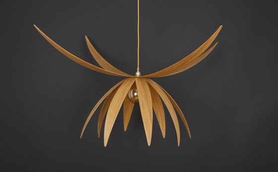 Stella | Ceiling Light - Large | Lampade sospensione | ALAN HORGAN STUDIO
