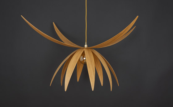 Stella | Ceiling Light - Large | Suspended lights | ALAN HORGAN STUDIO