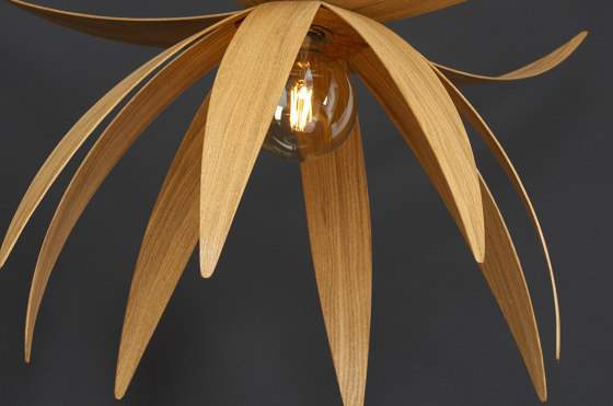 Stella | Ceiling Light - Small | Lámparas de suspensión | ALAN HORGAN STUDIO