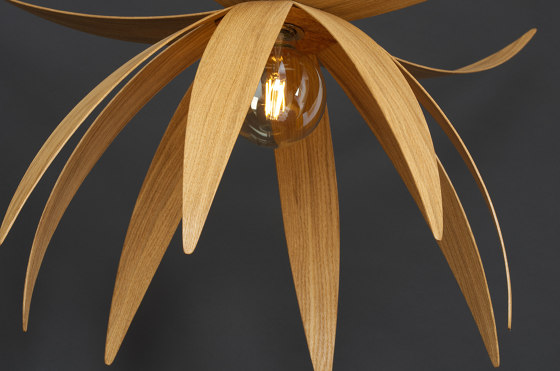 Stella | Ceiling Light - Large | Suspended lights | ALAN HORGAN STUDIO