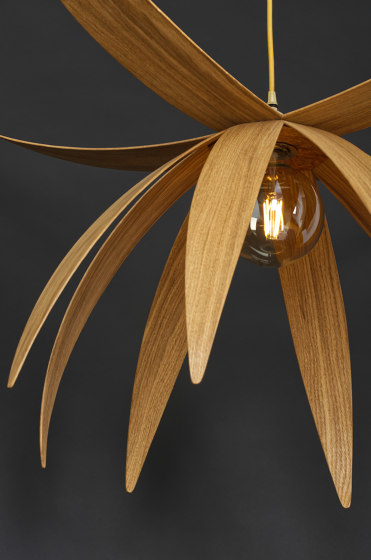 Stella | Ceiling Light - Small | Lámparas de suspensión | ALAN HORGAN STUDIO