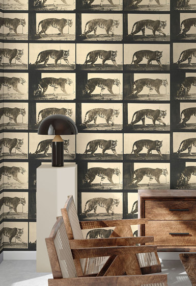 Tiger Walking | Wall coverings / wallpapers | WallPepper/ Group