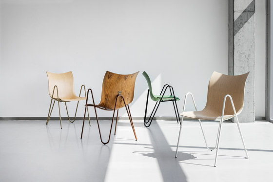 PEEL Holz Lounge Sessel | Sessel | VANK