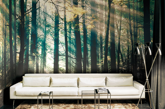 Canadian Forest | Wall coverings / wallpapers | LONDONART