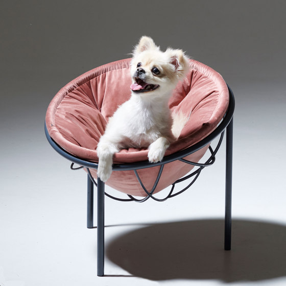 Furry Friends Pet Bed - Small Bubble on stand | Dog beds | Studio Stirling
