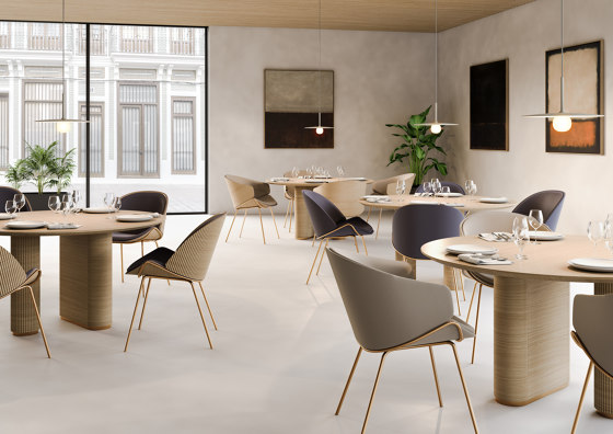 Dania Collection Chair | Chairs | Momocca