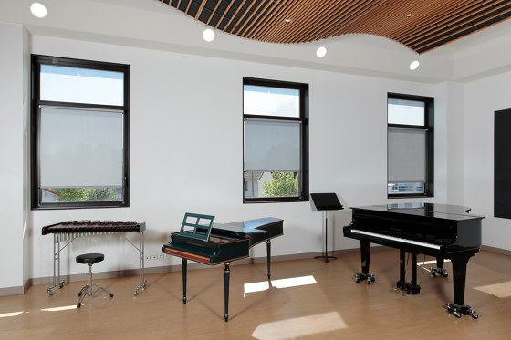 CASE Shadow | Integrated roller blinds | MHZ Hachtel