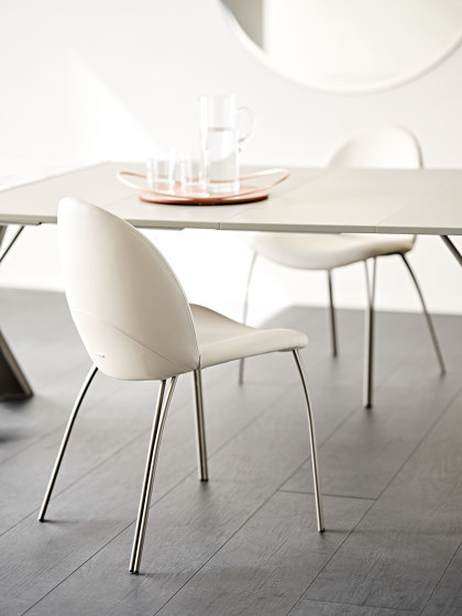 Holly | Chairs | Cattelan Italia