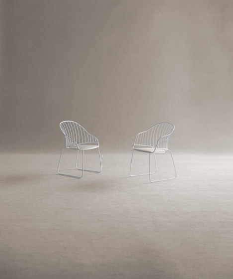 Alyza 948 | Chairs | Potocco