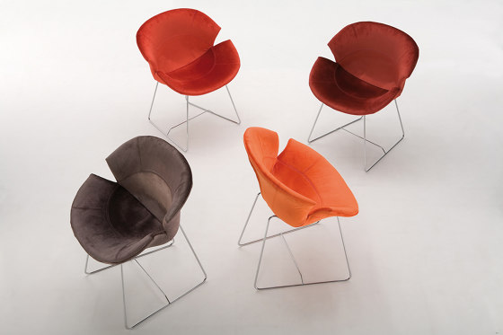 Daisy | Chairs | Giovannetti Collezioni