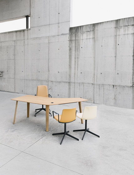 Lottus Chair | Sedie | ENEA