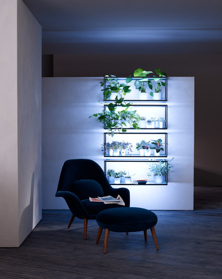 Lighting system 4 Glass shelf | Étagères | GERA