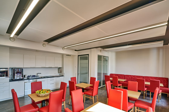 Plafotherm® DS 320 | Suspended ceilings | Lindner Group