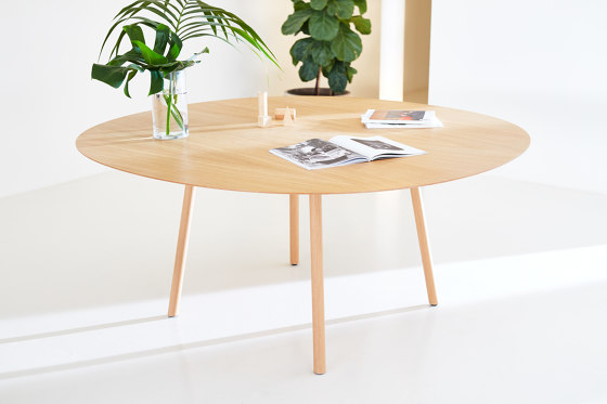 Maarten Plastic chair - four wooden legs base | Sedie | viccarbe