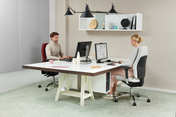 Shape economy2 (comfort) Swivel chair | Sedie ufficio | Dauphin