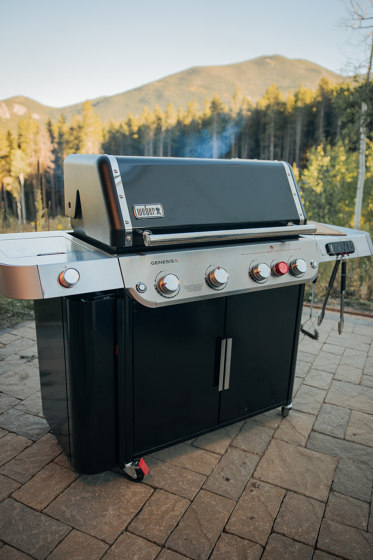 Genesis EPX-435 | Barbecues | Weber
