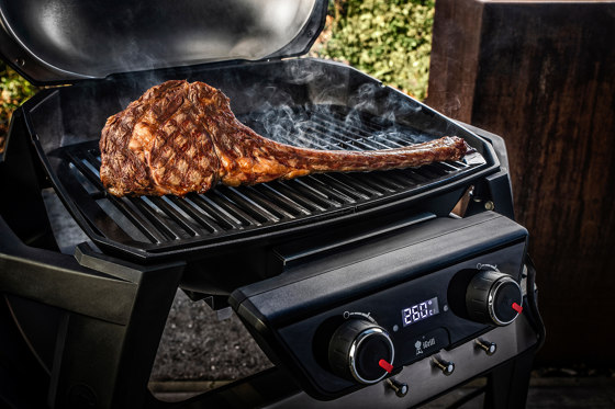 Pulse 2000 | Barbecues | Weber