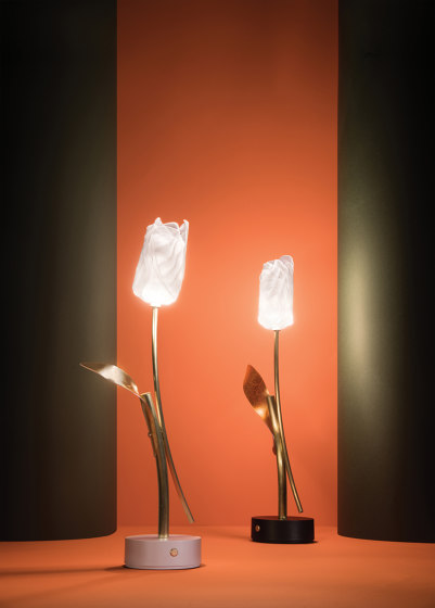 Tulip Battery | Black Base | Lámparas de sobremesa | Slamp
