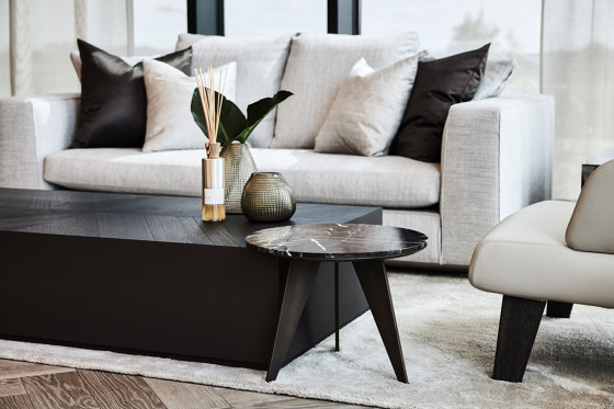Basalt Coffee Table Brushed Oak + Metal Lacquer | Coffee tables | DAMI Luxury Interior