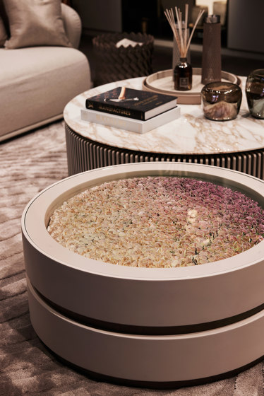 Spinel Flowerbed Coffee Table High Gloss Warm Beige + Flowerbed | Couchtische | DAMI Luxury Interior
