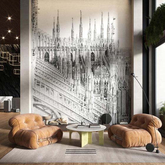 Vista Duomo | Wall art / Murals | TECNOGRAFICA