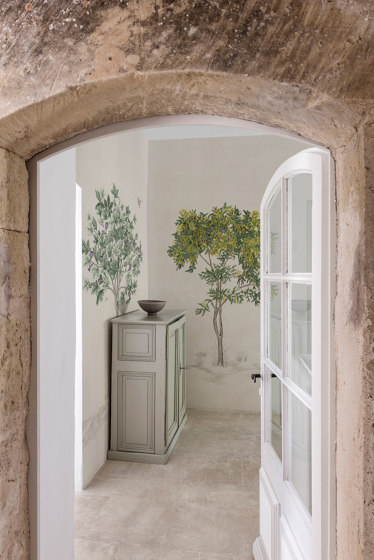 Arbustes Mimosa Gris | Revestimientos de paredes / papeles pintados | ISIDORE LEROY