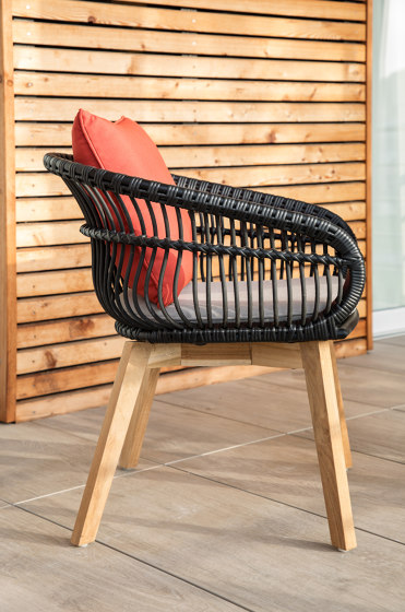 Armony Dining Chair Wood Legs | Chairs | cbdesign