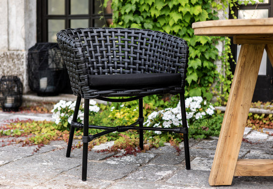 Fabion Dining Armchair | Chairs | cbdesign