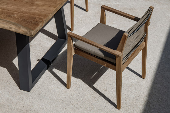 Primula Dining Armchair | Chairs | cbdesign