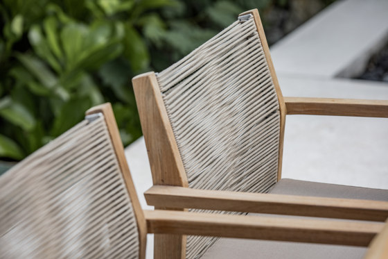 Primula Dining Armchair | Stühle | cbdesign