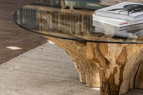 Root Coffee Table D140 | Tables basses | cbdesign