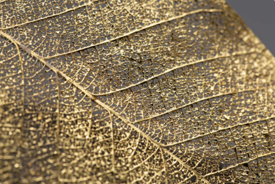 Yamamura Gold leaf_Model A | Wall art / Murals | Hiyoshiya