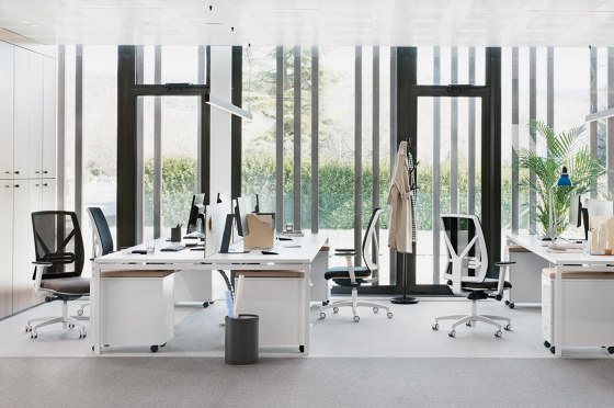 Dotway | Office chairs | Aresline