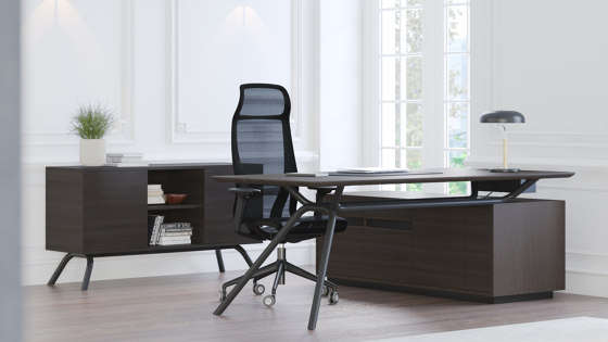 Arqus Executive Furniture | Scrivanie | Narbutas